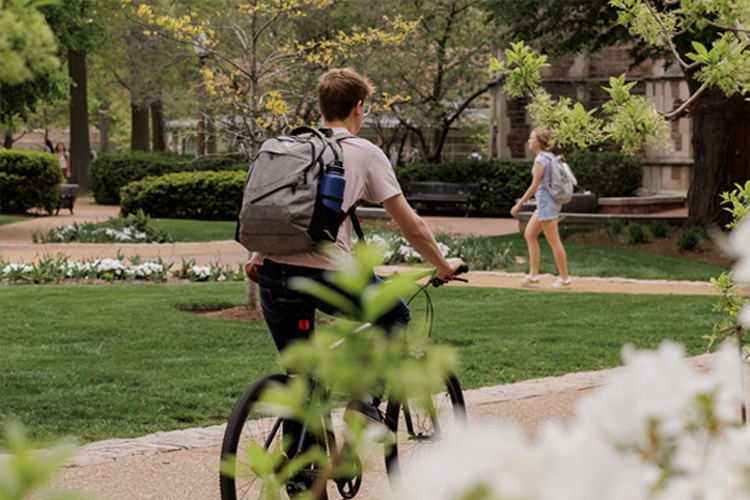 A cyclist bikes past blooming flowers.